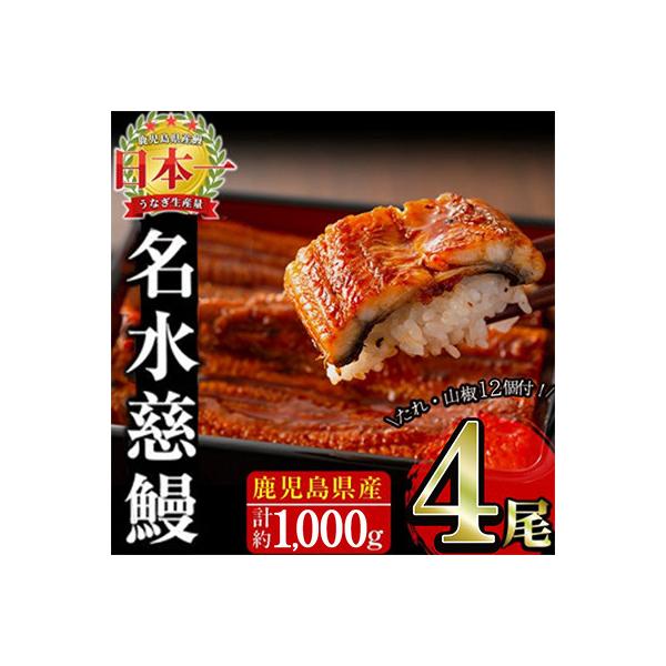 鹿児島県産うなぎ蒲焼 名水慈鰻 4尾(1尾約236～270g)《計約1000g》