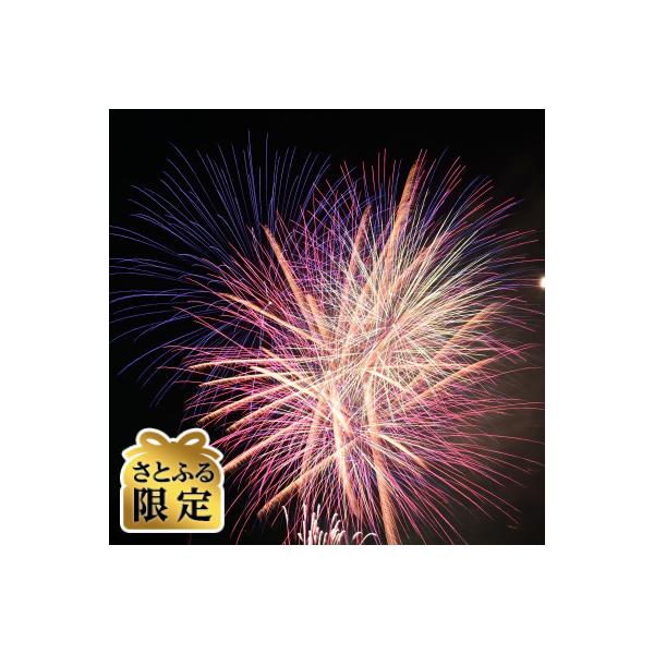 ふるさと納税 朝霞市 【さとふる限定】第43回「彩夏祭」花火観覧チケット朝霞中央公園野球場フリーエリア(ペアチケット)