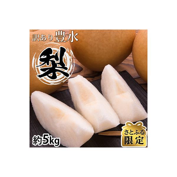 【さとふる限定】訳あり 豊水梨 約5kg【2027年8月下旬から2027年9月下旬発送予定】
