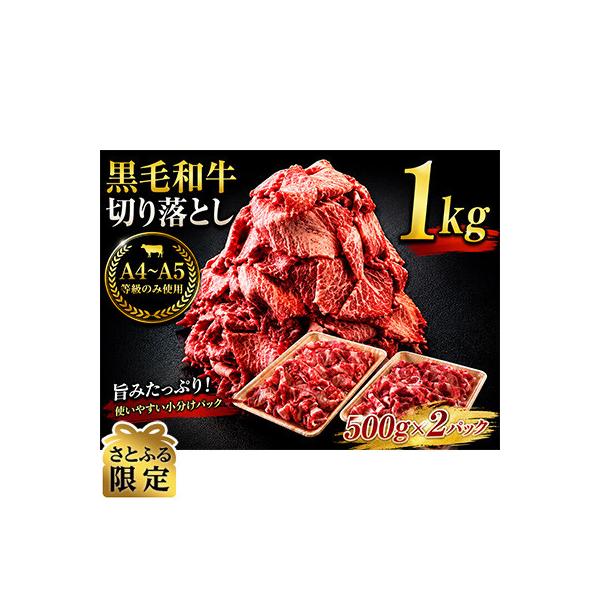 【さとふる限定】A4～A5等級　黒毛和牛　切り落とし　1kg【500g×2】(吉野ヶ里町)