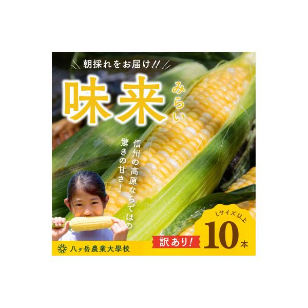 【数量限定!訳あり】フルーツのような甘さ『皮付き』生とうもろこし10本