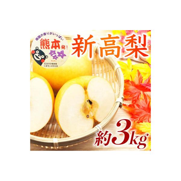 長洲町産 梨 約3kg