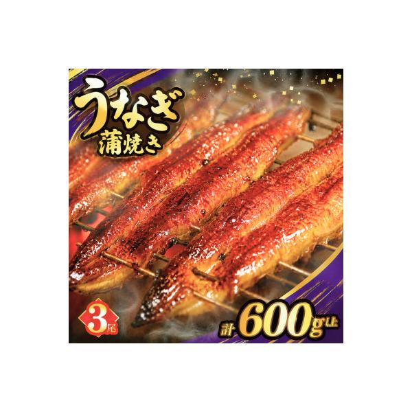 うなぎ 蒲焼 3尾(計約600g)【T026-0146】(都農町)