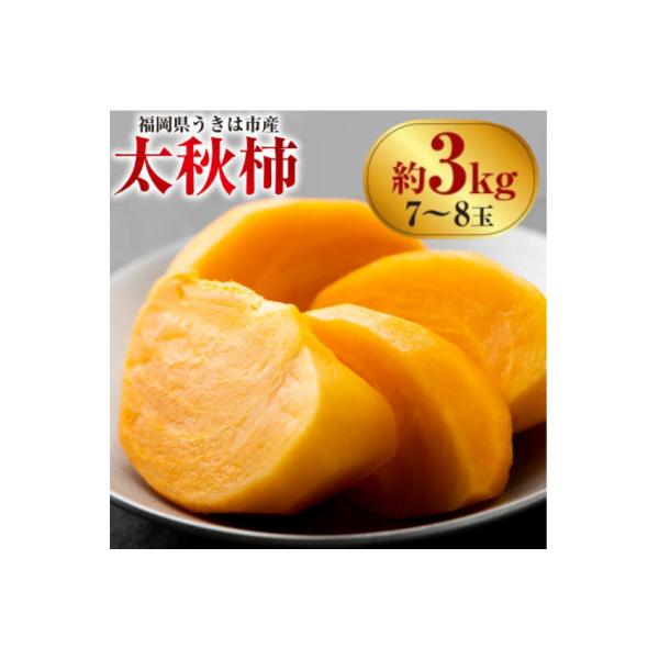 ふるさと納税 うきは市 【先行予約】西見柿農園 太秋柿 7玉から8玉(約3kg)【2026年10月下旬〜11月上旬発送予定】