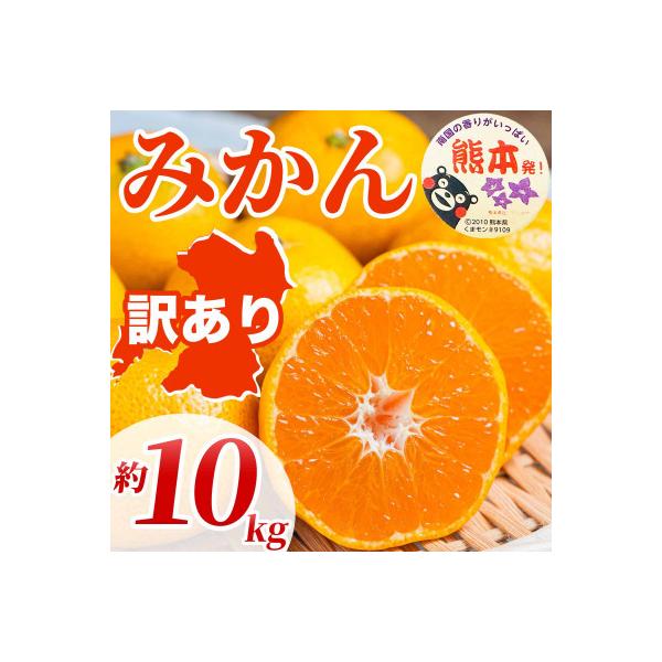 水俣市産 みかん 約10kg