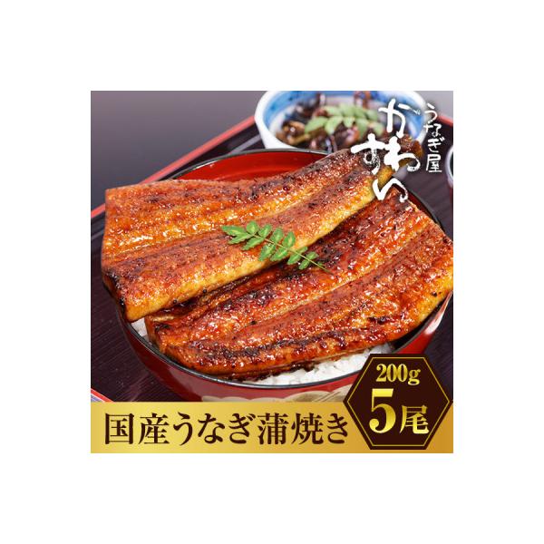 大きい! 国産うなぎ蒲焼5尾セット(総量1kg以上)