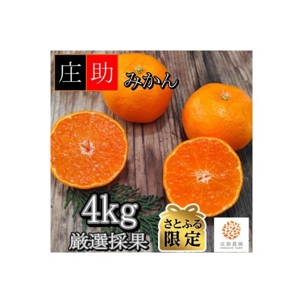 【さとふる限定】｟先行受付2026年10月末より順次発送》有田・庄助みかん4kg【厳選採果】