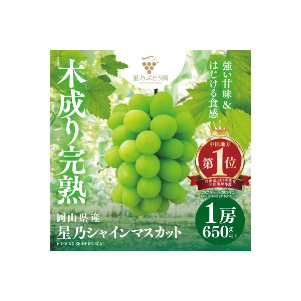【三つ星ブランド】星乃シャインマスカット 数量限定 (岡山県産) 1房(650g以上)