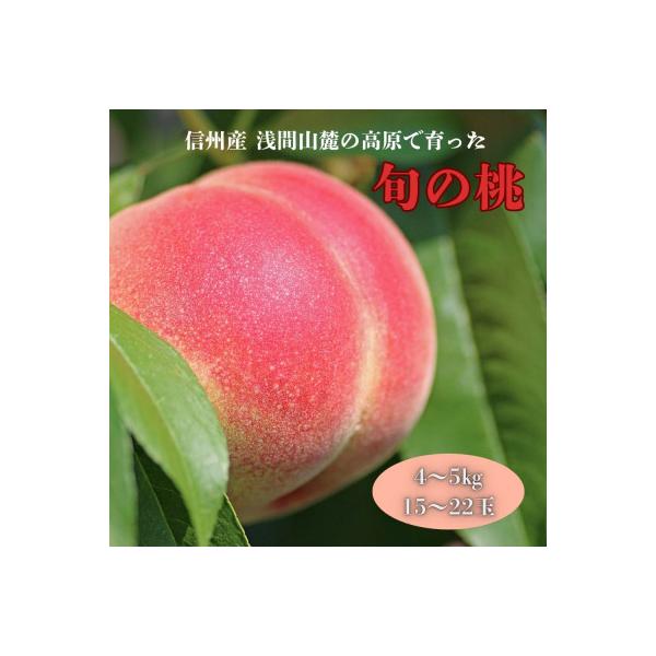 長野県浅間山麓　御代田町の桃(4～5kg)