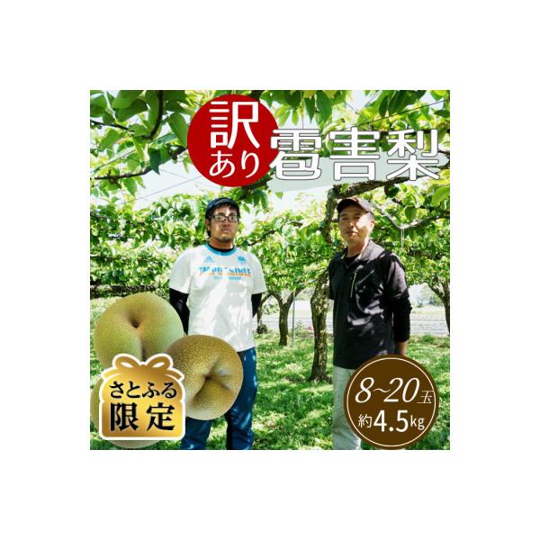 【さとふる限定】【訳あり】雹害果実キズあり旬梨　約4.5kg(8～20玉入り)