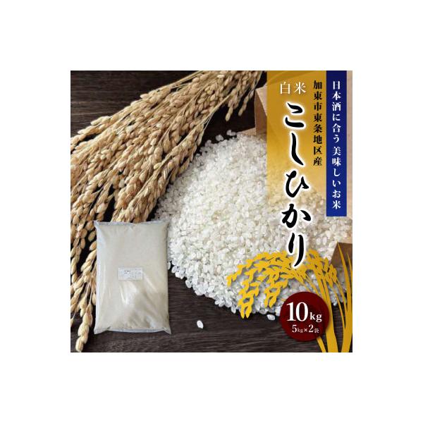 訳あり 無地袋梱包 《令和7年産》日本酒に合うコシヒカリ　白米10kg(5kg×2)