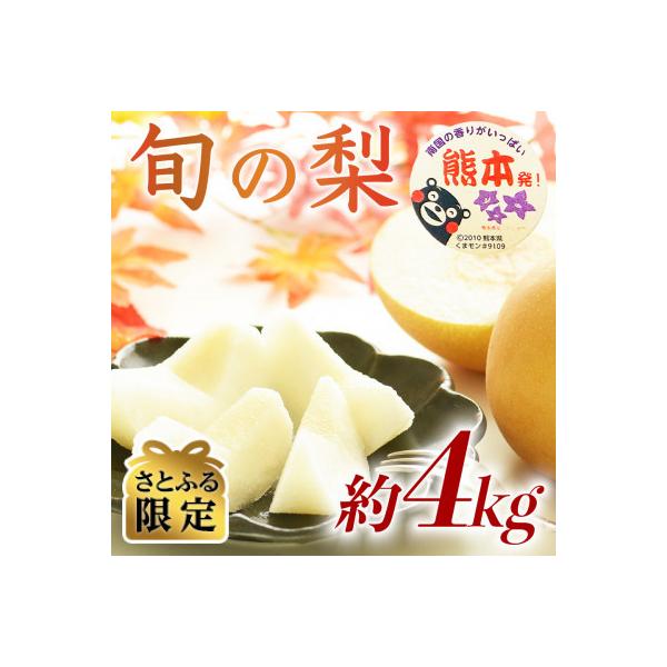 玉名市 【さとふる限定】数量限定 秋のフルーツおすすめ! 熊本県産旬の梨(豊水・秋月・新高)約4kg 玉名市