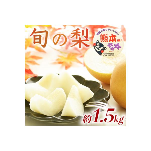 熊本市 【数量限定】秋のフルーツ! 熊本県産 旬の梨 (豊水・秋月・新高)約1.5kg(5〜10玉) 熊本市