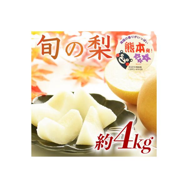 熊本市 【数量限定】秋のフルーツ! 熊本県産 旬の梨 (豊水・秋月・新高)約4kg(6〜24玉)(熊本市)