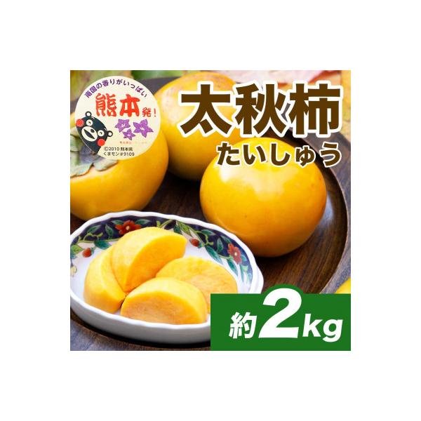 宇城市 熊本県 宇城市産 新食感 甘い 高級柿 太秋柿(たいしゅうがき) 約2kg(4〜8玉)(宇城市)