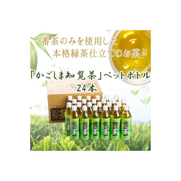 かごしま知覧茶ペットボトル24本