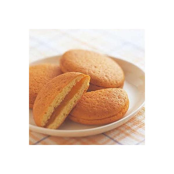 佐賀市 ふるさと納税 北島の丸芳露 花ぼうろ詰合せb Www Npattorney Com