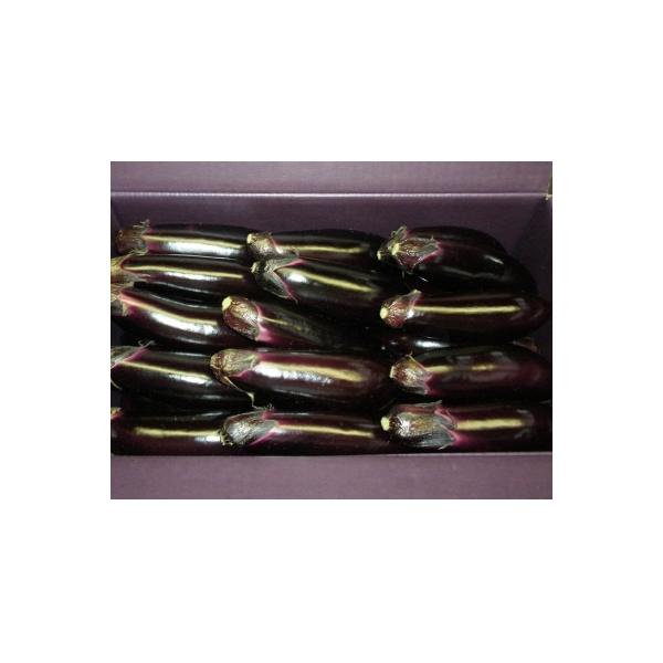 ■お礼品詳細　・配送方法：通常便　・提供元：あいち三河農業協同組合　・商品番号：6504-30075558　・提供元：幸田町■お申し込み・配送・その他　・発送時期：2025年11月〜2026年6月まで順次発送　・申込受付期間：通年　・配達外...