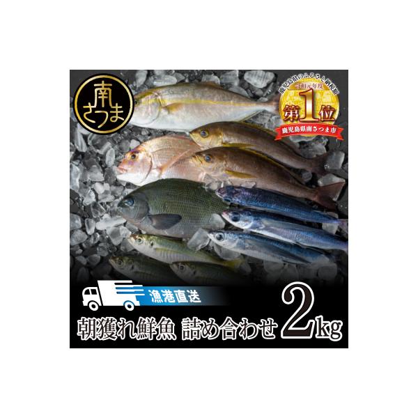 【漁港直送】朝獲れ鮮魚 詰め合わせ 2kg