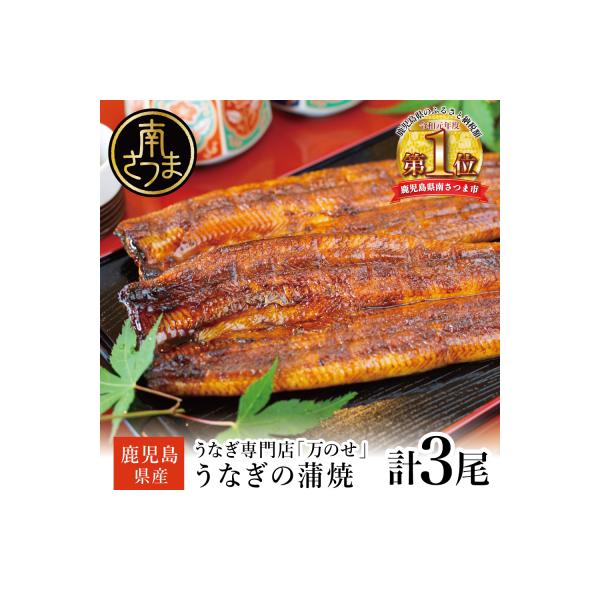 【鹿児島県産 鰻】うなぎ専門店「万のせ」 うなぎ蒲焼3尾