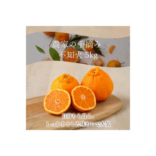 農家の手摘み不知火 約5kg 家庭用〈先行受付〉_S040-011A