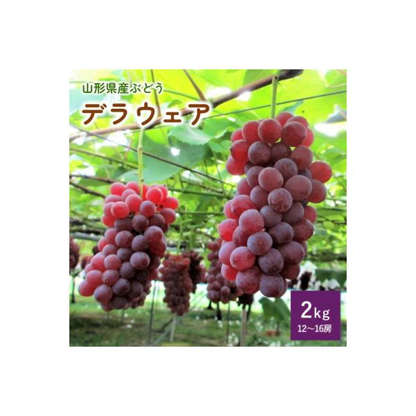 ぶどう(デラウェア)2kg　0085-2601