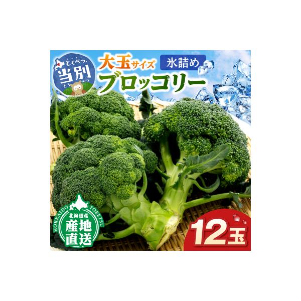 【2026年先行受付】氷詰めブロッコリー縦置き12玉_tb21-001