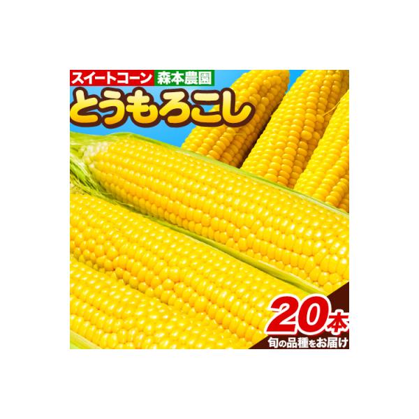 ■お礼品詳細　・配送方法：クール便(冷蔵)　・賞味期限：発送から5日(要冷蔵)　・提供元：当別町■お申し込み・配送・その他　・発送時期：R8年8月上旬〜9月下旬※配送はヤマト運輸で行っておりますので「クロネコメンバーズ」にご登録いただくと配...