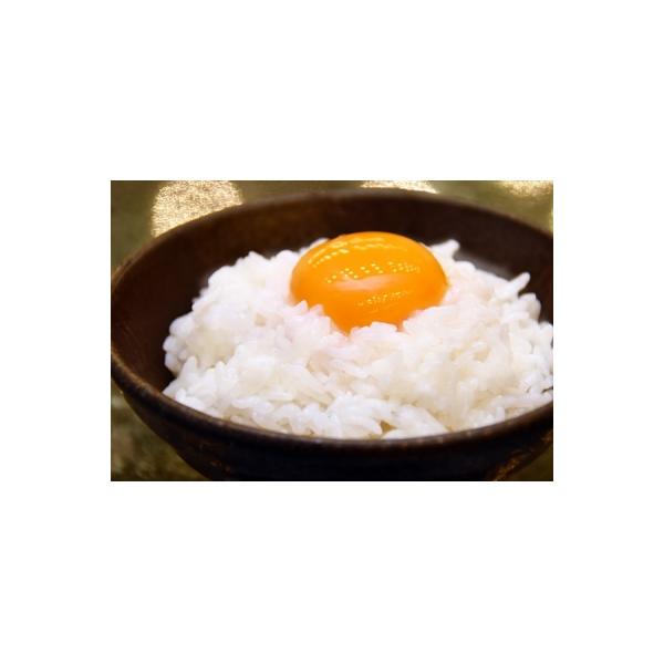 卵かけご飯にも　業務用生卵　菜の花たまごブランド アスタキサンチン卵白玉M-LL75個