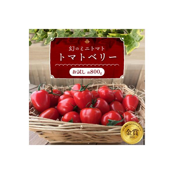 ■お礼品詳細　・内容量：トマトベリー約800g　・配送方法：常温(10月〜4月)、冷蔵(5月〜9月)　・消費期限：出荷より5日　・保存方法：生のトマトですので冷蔵庫の野菜室にて保存し、できるだけお早めにお召し上がりください。　・事業者：長田...