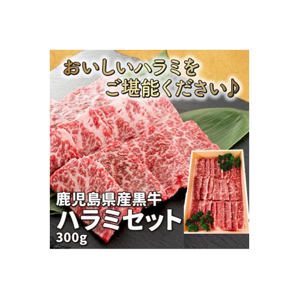 鹿児島県産黒毛和牛ハラミ300g