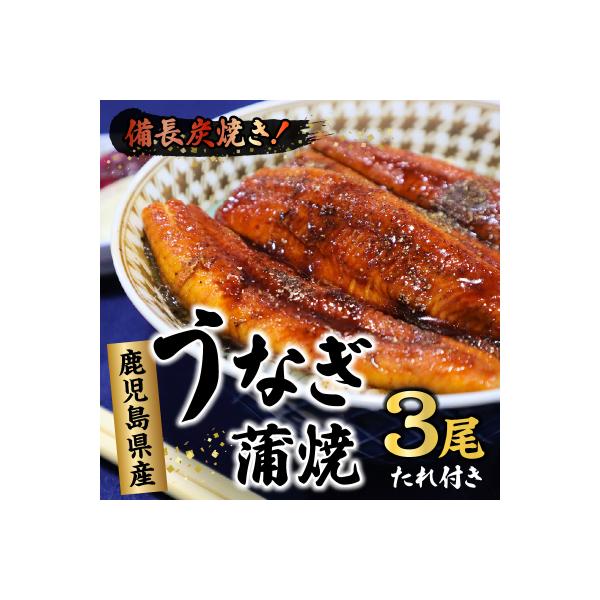 ふるさと納税 南九州市 鹿児島県産うなぎ蒲焼3尾 タレ付 :3022812:さとふる 通販 ふるさと納税 薩摩川内市 鹿児島県産 うなぎ蒲焼 約170g×3尾 B-056
