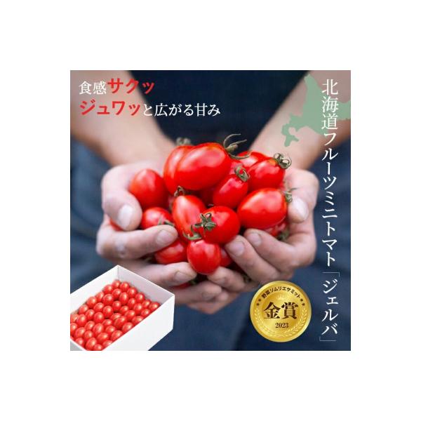 2026年発送 金賞受賞 北海道フルーツミニトマト【ジェルバ】1.2kg【Farm of Soul】