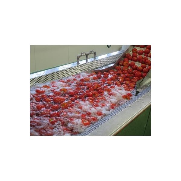 秩父別町 ふるさと納税 あかずきんちゃん 1 000ml 3本 朝もぎ完熟トマトジュース A 01 Pymr Go Th