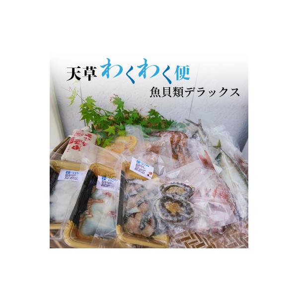 天草わくわく便 魚貝類デラックス(活きあわび、車海老パックなど)_S059-002A