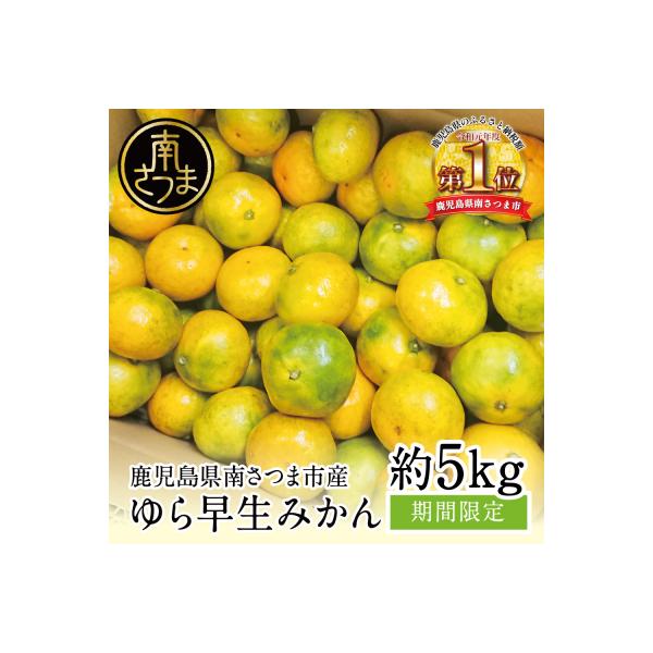 【先行受付】 温州 ゆら早生 みかん 約5kg [9月発送開始] 柑橘フルーツ 果物 鹿児島県産