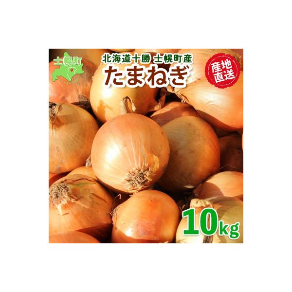 北海道 士幌産 たまねぎ 10kg 採れたて玉ねぎ 旬の野菜 十勝 士幌町【V07】