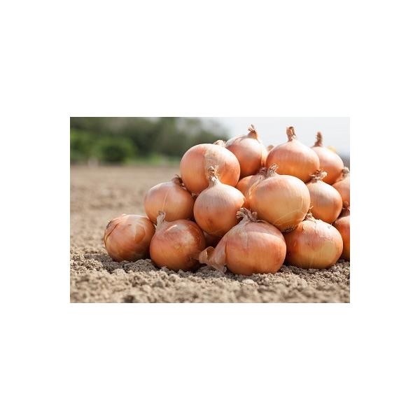 ■お礼品詳細　・提供元：南あわじ市■お申し込み・配送・その他　・発送時期：準備でき次第、順次発送します。※※長期不在、転居等でお受け取りいただけない場合、再送はいたしかねます。ご了承ください。※※生鮮品のため、到着後は箱から出して保存し、お...