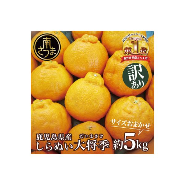 【訳あり】◆12月中お届け◆ 鹿児島県産 不知火「大将季」約5kg 柑橘 みかん しらぬい 果物