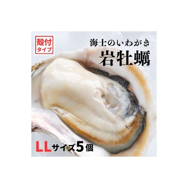 海士のいわがき 計2kg～2.5kg 巨大LLサイズ5個 生食可能 CAS冷凍 牡蠣 岩牡蠣