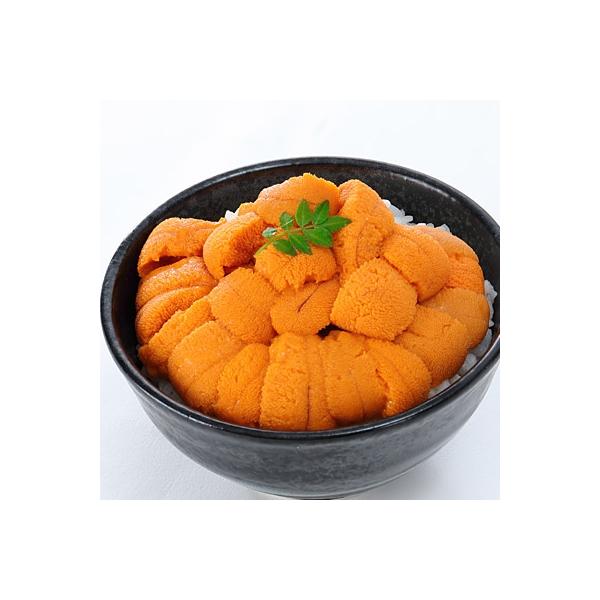 ふるさと納税 根室市 エゾバフンウニ塩水パック60〜70g×2P B-24007 ... ふるさと納税 根室市 エゾバフンウニ塩水パック60〜70g×2P B-24007 ...