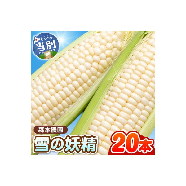 【2026年先行受付】森本農園とうもろこし「雪の妖精」20本セット_tb20-002
