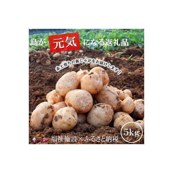 《今が旬!》福祉作業所の仕事にもつながる!徳之島の“新”じゃがいも(5kg)