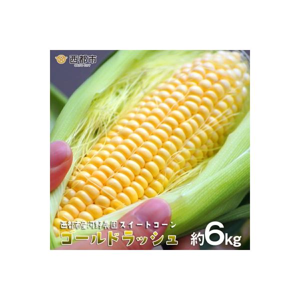 ■お礼品詳細　・内容量：約6kg　15本〜20本　・消費期限：発送から1週間程度（冷蔵庫に保管の上お早目にお召し上がりください）　・発送方法：冷蔵便　・提供事業者：（株）池商　・提供元：西都市■お申し込み・配送・その他　・発送時期：令和8年...