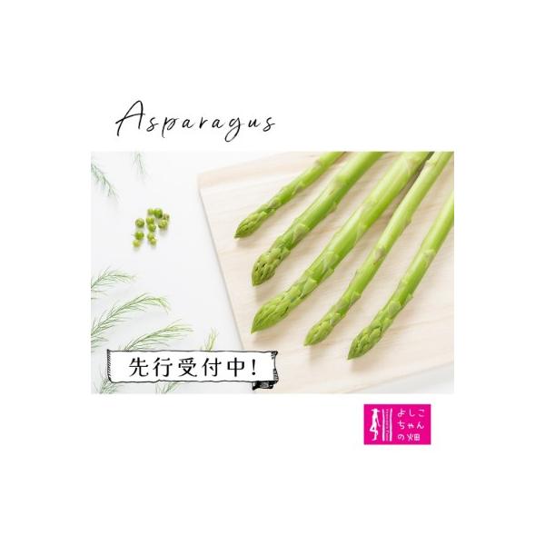 ■お礼品詳細　・内容量：アスパラ1.2kg(大、中、小混合)　・配送方法：冷蔵便　・消費期限：発送日から5日　・発送不可地域：離島　・提供元：神埼市■お申し込み・配送・その他　・発送時期：決済完了順にR8年7月1日〜R8年10月31日の期間...