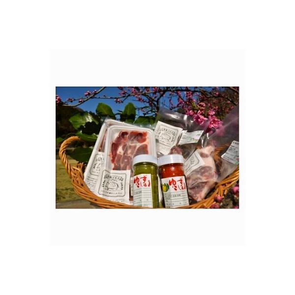 ■お礼品詳細　・内容量：スライス肉 約100g×2パック・カレー、鍋用ブロック肉 約200g×2パック・柚子胡椒2本　・配送方法：冷凍便　・消費期限：製造日より30日　・提供元：神埼市■お申し込み・配送・その他　・発送時期：決済から14日前...