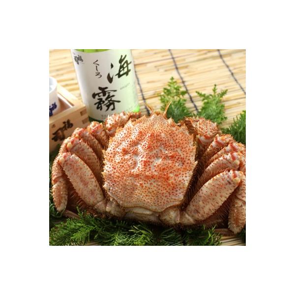 釧路市 ふるさと納税 釧路限定酒 海霧 と毛がに400gのセット Ka403 B145 Doc Sg