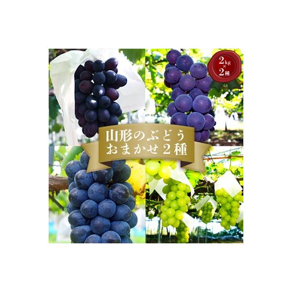 【2026年発送】「秀品」山形のぶどう品種おまかせ約4kg(約2kg×2種)_H056(R8)