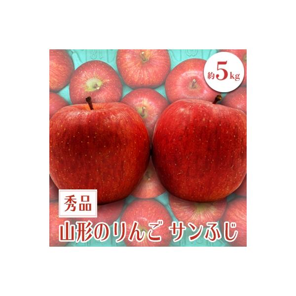 【2026年発送】「秀品」山形のりんご(サンふじ)約5kg_H081(R8)