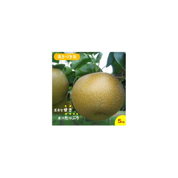 鳥取県産梨『あきづき梨』(5kg)